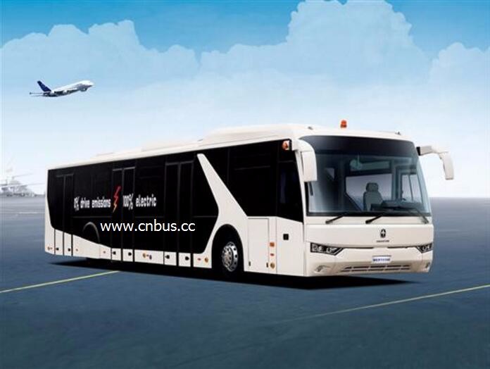 shuttle buses from traverse city airport